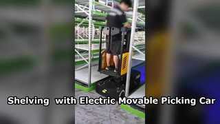 Slim rekkensysteem met meerdere niveaus en elektrische picking-oplossing