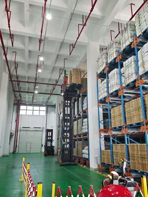 kopen China Pallet Shuttle Racking System Fabrikant | Aangepast High Density Magazijn Opslagsysteem online vervaardiging